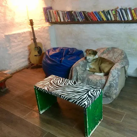 Green Studio Hostel Belgrado